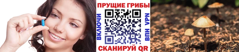 Галлюциногенные грибы GOLDEN TEACHER Спасск-Дальний